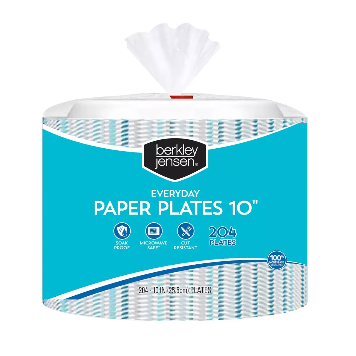 Berkley Jensen Everyday 10 Paper Plates - Abstract, 204 ct. - Image 1