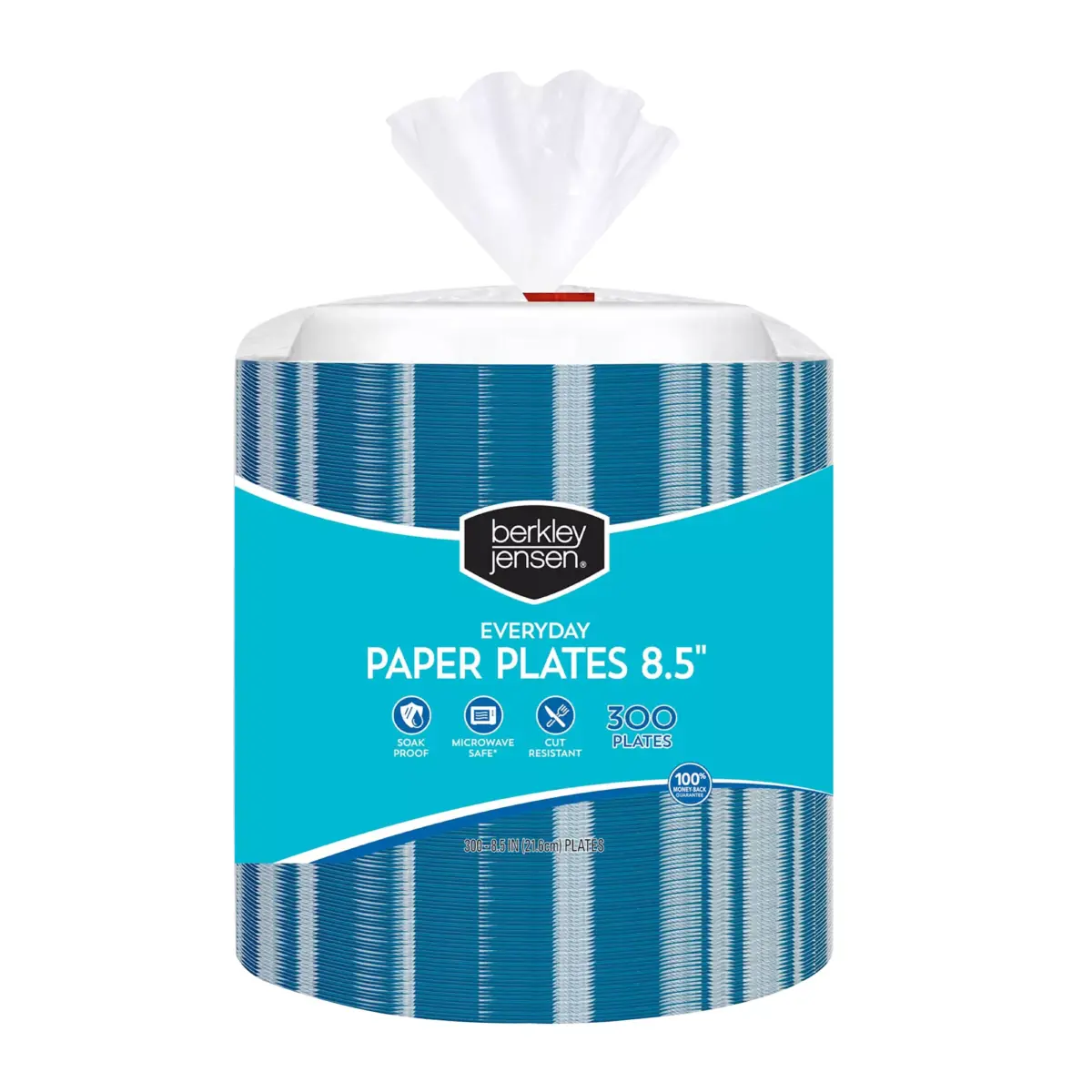Berkley Jensen Everyday 8.5 Abstract Pattern Paper Plates, 300 ct. - Image 1