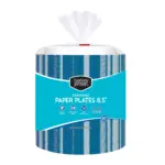 Berkley Jensen Everyday 8.5 Abstract Pattern Paper Plates, 300 ct.