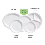 Chinet Classic Dinner Paper Plates, 10.375", 165 ct. - Image 3