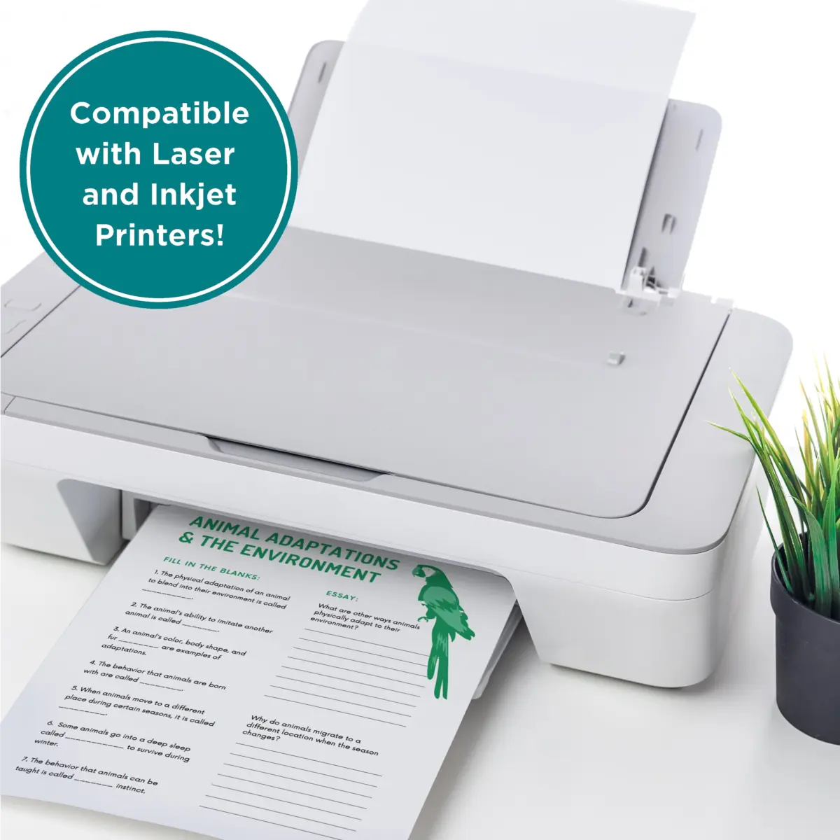 Elementree Sustainable Multipurpose Paper, 20 lb., 8.5" x 11", White, 4000 Sheets - Image 4