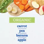 Gerber 1st Foods Organic Baby Food, Fruit & Veggie Value Pack, 4 oz., 20 ct. - Image 4