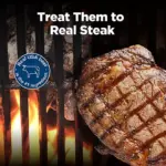 Blue Buffalo Nudges Grillers Steak Flavored Natural Dog Treats, 48 oz. - Image 4