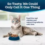 Blue Buffalo Tastefuls Chicken & Brown Rice Adult Indoor Dry Cat Food, 22 lbs. - Image 4