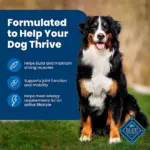 Blue Life Protection Formula Chicken and Brown Rice, Adult Natural Dry Dog Food, 38 lbs. - Image 5