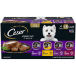 Cesar Classic Loaf in Sauce Wet Dog Food Variety Pack, 3.5 oz., 48 ct.
