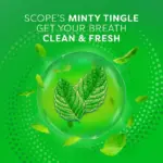 Crest Scope Outlast Mouthwash, Fresh Mint, 33.8 fl. oz., 3 pk. - Image 6