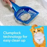 Fresh Step Total Control Scented Clumping Litter with Febreze, 44 lbs. - Image 3