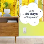 Glade PlugIns Scented Oil, Radiant Bloom, 2 Warmers + 6 Refills - Image 3