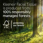 Kleenex Ultra Soft Hypoallergenic 3-Ply Facial Tissues 12 Cube Boxes, 72 tissues/box - Image 3