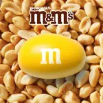 M&M'S Peanut Milk Chocolate Candy, Singles Size, 1.74 oz., 48 pk. - Image 5