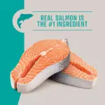 Member's Mark Grain Free Salmon and Sweet Potato Dry Dog Food, 30 lbs. - Image 4