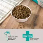 Member's Mark Grain Free Salmon and Sweet Potato Dry Dog Food, 30 lbs. - Image 5