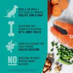 Member's Mark Grain Free Salmon and Sweet Potato Dry Dog Food, 30 lbs. - Image 6