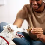 Milk-Bone Meat Flavored Snacks, Small Crunchy Dog Biscuits, 8 lbs. - Image 4