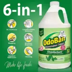 OdoBan Disinfectant & Odor Eliminator, Eucalyptus 1 gal. concentrate + 32 oz. Ready-to-Use Spray - Image 4