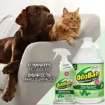 OdoBan Disinfectant & Odor Eliminator, Eucalyptus 1 gal. concentrate + 32 oz. Ready-to-Use Spray - Image 7