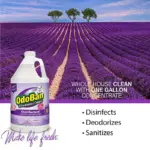 OdoBan Odor Eliminator and Disinfectant Concentrate, 1 gal., 4 pk., Lavender - Image 6