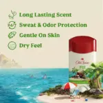 Old Spice Fiji Antiperspirant Deodorant, Palm Tree + Coconut, 2.6 oz., 4 pk. - Image 3