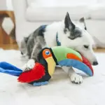 P.L.A.Y. Paradise Paws Dog Toy Bundle, 3 pk. - Image 7