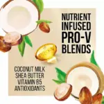 Pantene Pro-V Nourishing Coconut Milk and Shea Butter Conditioner, 38.2 fl. oz. - Image 7
