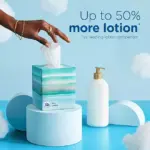 Puffs Plus Lotion 2-Ply Facial Tissues 12 Cube Boxes, 72 tissues/box - Image 5