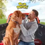 Pup-Peroni Dog Snacks, Original Beef Flavor, 46 oz. - Image 6