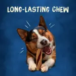 Purina Busy With Beggin' Twist'd Small/Medium Breed Dog Treats, 18 ct. - Image 4