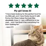 Purina, Cat Chow, Chicken Indoor Adult Dry Cat Food, Hairball and Healthy Weight, 25 lbs. - Image 3