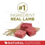 Purina ONE SmartBlend Natural Lamb and Rice, Adult Dry Dog Food, 44 lbs. - Image 3