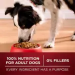 Purina ONE SmartBlend True Instinct Real Turkey & Venison, Adult Dry Dog Food, 40 lbs. - Image 7