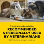 Purina Tidy Cats Multi-Cat Light Weight Clumping Cat Litter, 19.5 lbs. - Image 3