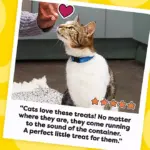 TEMPTATIONS Cat Treats Variety Pack with Tasty Chicken Flavor, Catnip Fever, & Surfers' Delight, 16 oz., 3 tubs - Image 14