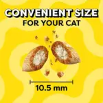 TEMPTATIONS Cat Treats Variety Pack with Tasty Chicken Flavor, Catnip Fever, & Surfers' Delight, 16 oz., 3 tubs - Image 7