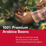 Tim Hortons Decaf Original Blend Medium Roast Coffee Pods, 100 ct. - Image 7