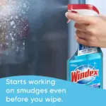 Windex Original Glass Cleaner, 1 spray bottle + 128 fl. oz. Refill - Image 7