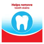 Colgate Extra Clean Flexible Grip Adult Manual Toothbrush, Medium, 4 Pack - Image 4