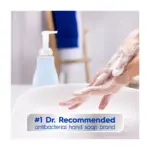 Dial Foaming Antibacterial & Moisturizing Hand Wash - Spring Water Scent, 4 pk./7.5 fl. oz. - Image 9