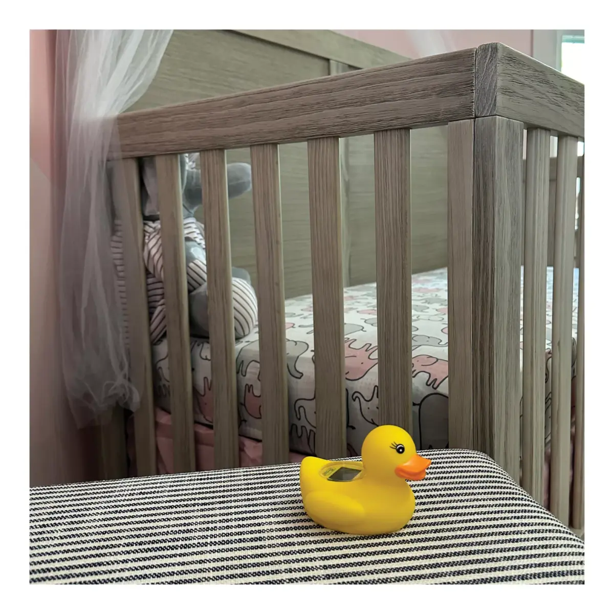 Dreambaby Room & Bath Thermometer, 2 pk. - Image 4