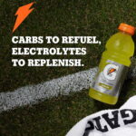 Gatorade Sports Drinks Core Variety Pack 12 fl. oz., 28 pk. - Image 3