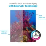 HP Copy & Print20, 20lb, 8.5 x 11, 1 Ream (500 Sheets) - Image 3