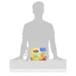 Lipton Iced Tea, Gallon Size Tea Bags, 48 ct. - Image 6