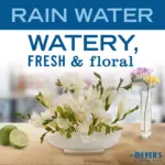 Mrs. Meyer's Clean Day Hand Soap, Rain Water Scent, 3 pk./12.5 fl. oz. - Image 6