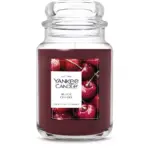 Original Large Jar Candle 22oz - Yankee Candle