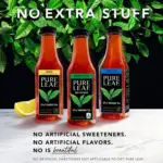 Pure Leaf Real Brewed Tea Sweet Tea 16.9 fl. oz., 18 pk. - Image 7