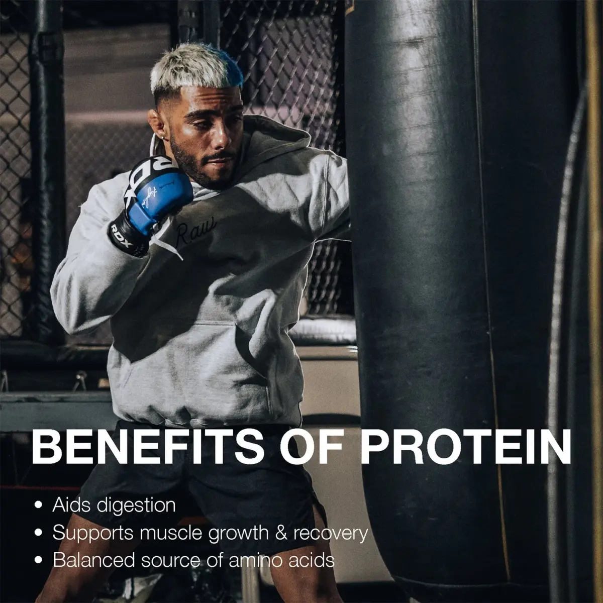 RAW 25g Grass Fed Whey Isolate Protein Powder, Dark Chocolate, 1.97 lbs. - Image 3