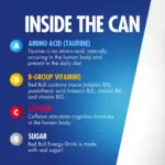 Red Bull Energy, 16 fl. oz., 12 pk. - Image 9