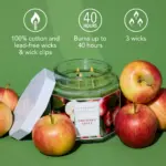 Scentworx 14.5 oz Orchard Apple 3-Wick Jar Candle by Slatkin & Co - Image 4