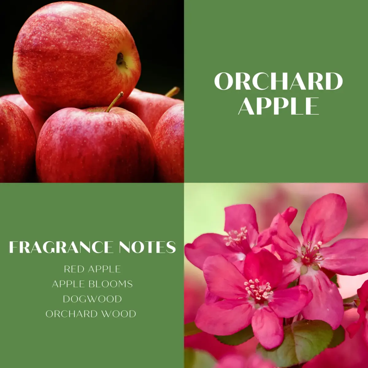 Scentworx 14.5 oz Orchard Apple 3-Wick Jar Candle by Slatkin & Co - Image 3