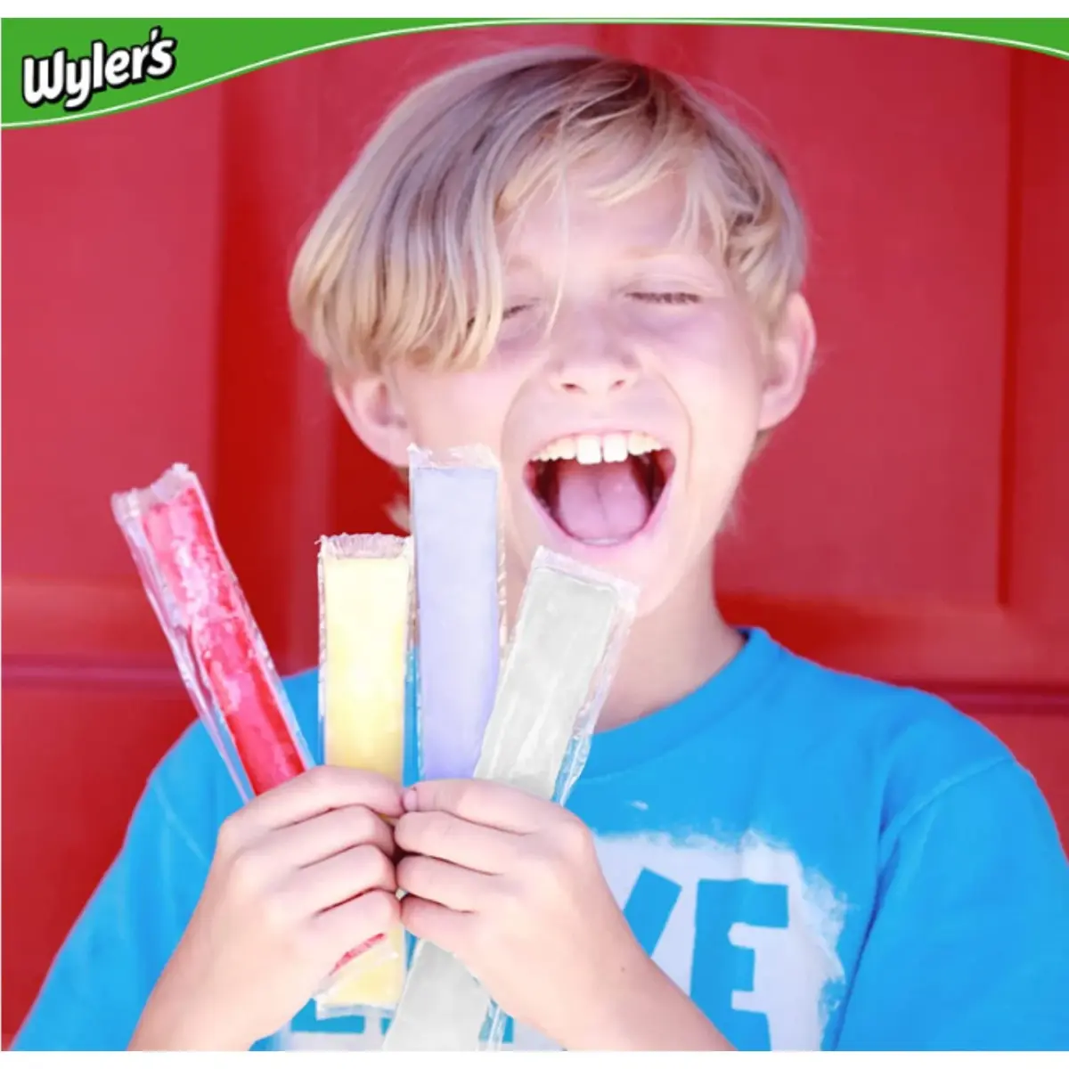 Wyler's Authentic Italian Ices, 2 oz., 96 pk. - Image 3